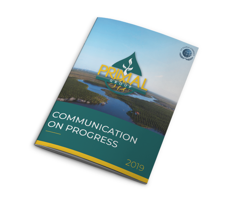 Primal Group Communication on Progress 2019